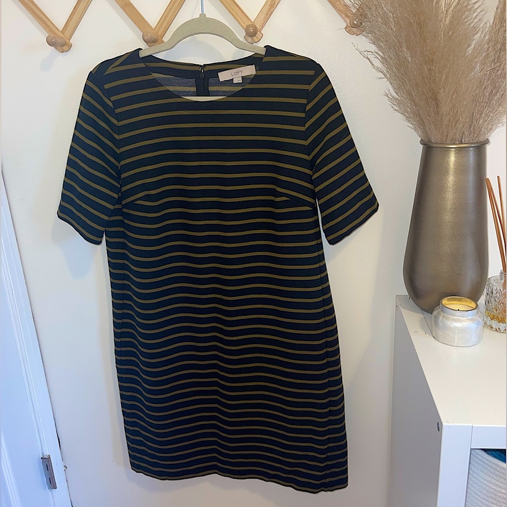 Black and green shift dress from the LOFT, size Large (fits like a 14)